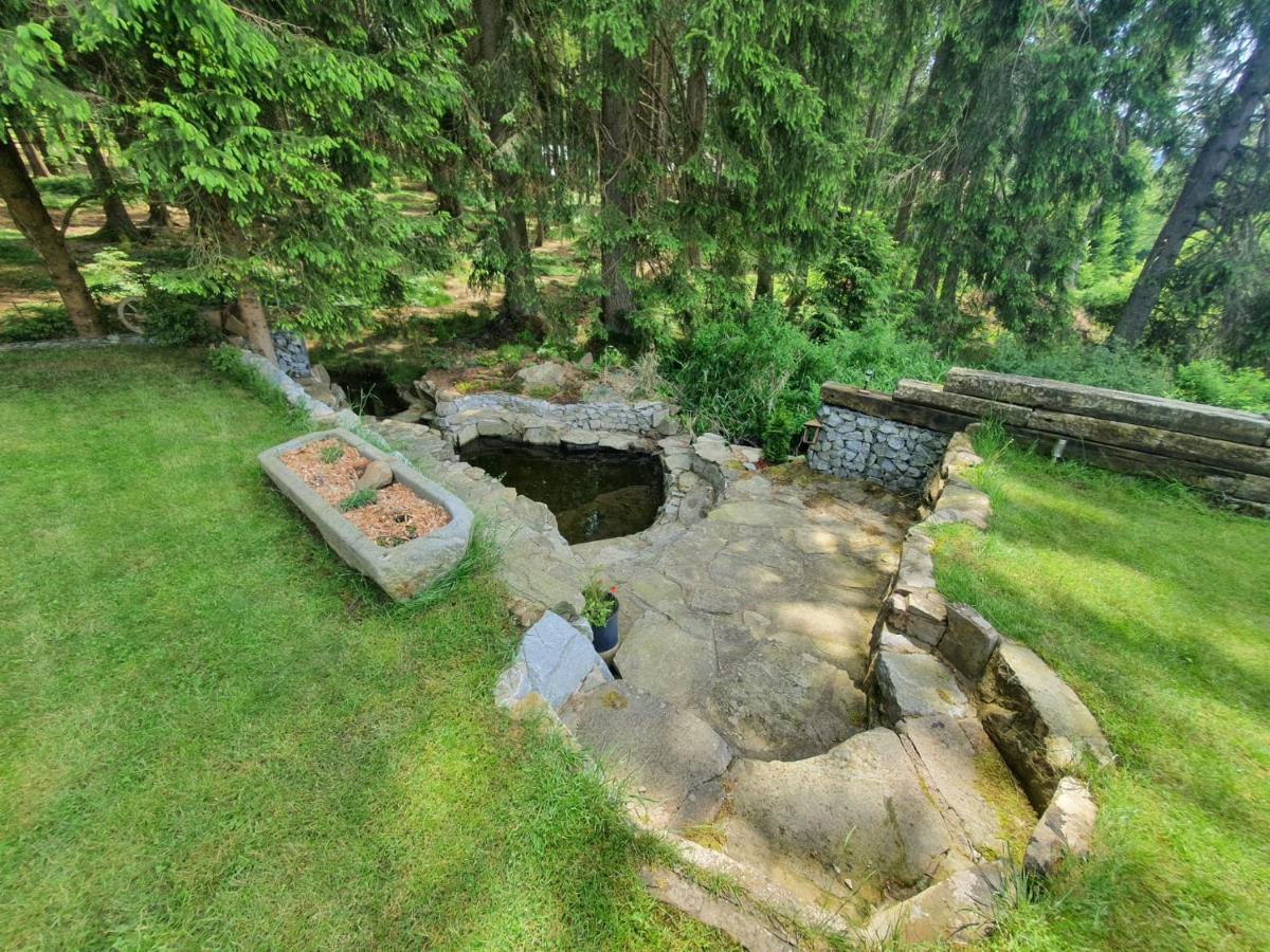 Apartmany Lipnoczech Frymburk Exterior photo